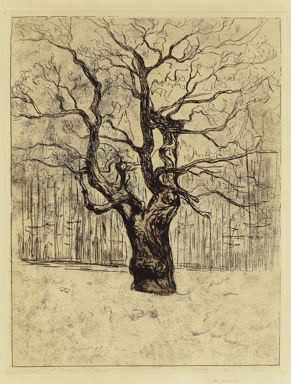 A tölgyfa alkotó: Edvard Munch