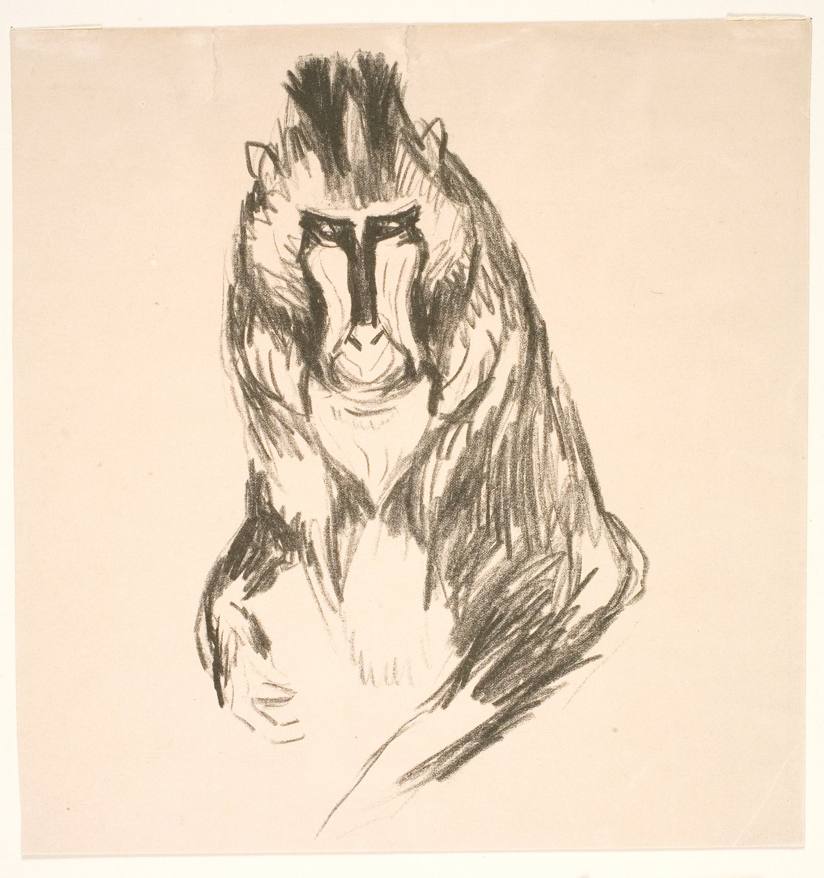 Gorilla (szárazföld) alkotó: Edvard Munch