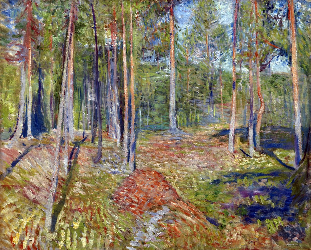 Fenyőerdő – Edvard Munch (1863-1944) festménye alkotó: Edvard Munch