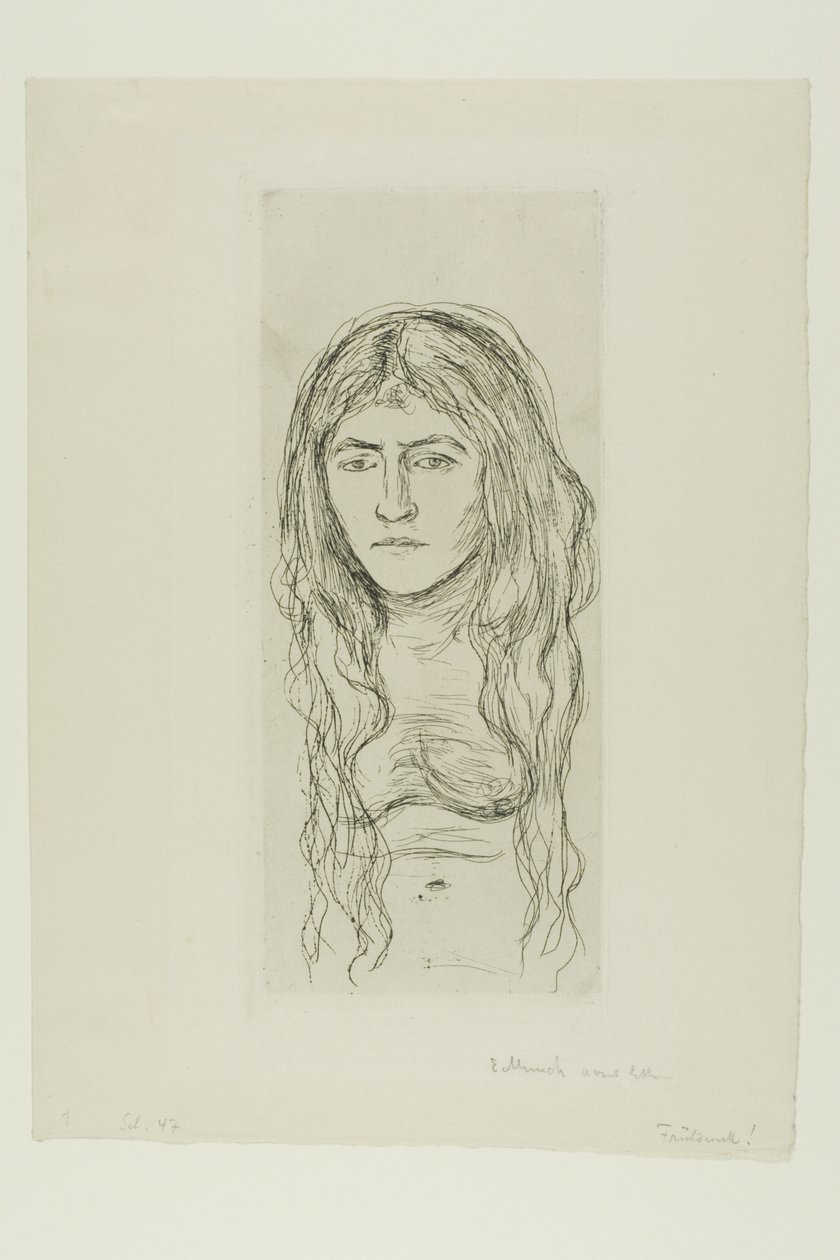 Hosszú hajú nő alkotó: Edvard Munch