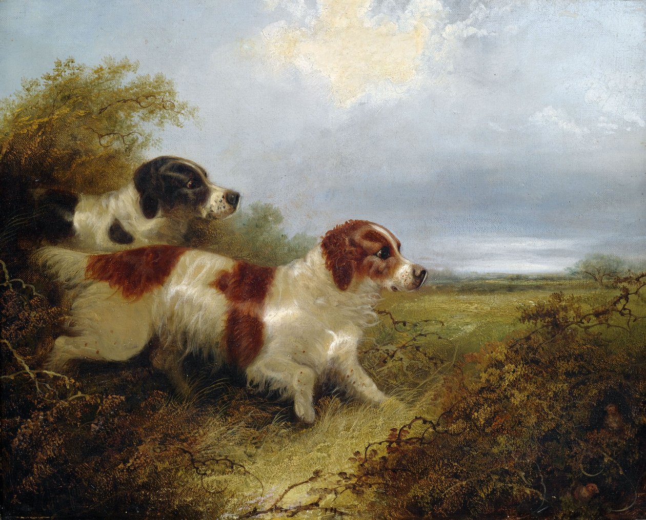 Két terrier alkotó: Edward Armfield