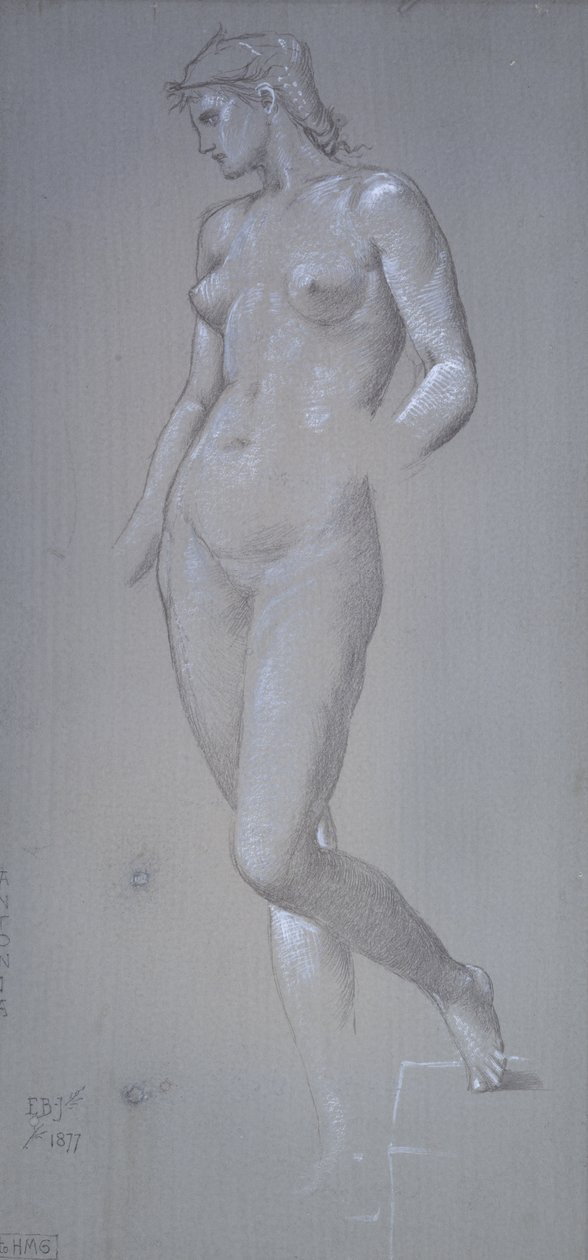 Antonia, 1877 (ezüstpont és testszín szürke előkészített talajon) alkotó: Edward Burne Jones