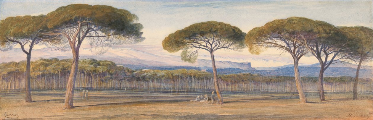 Kilátás a fenyőerdőre Cannes felett alkotó: Edward Lear