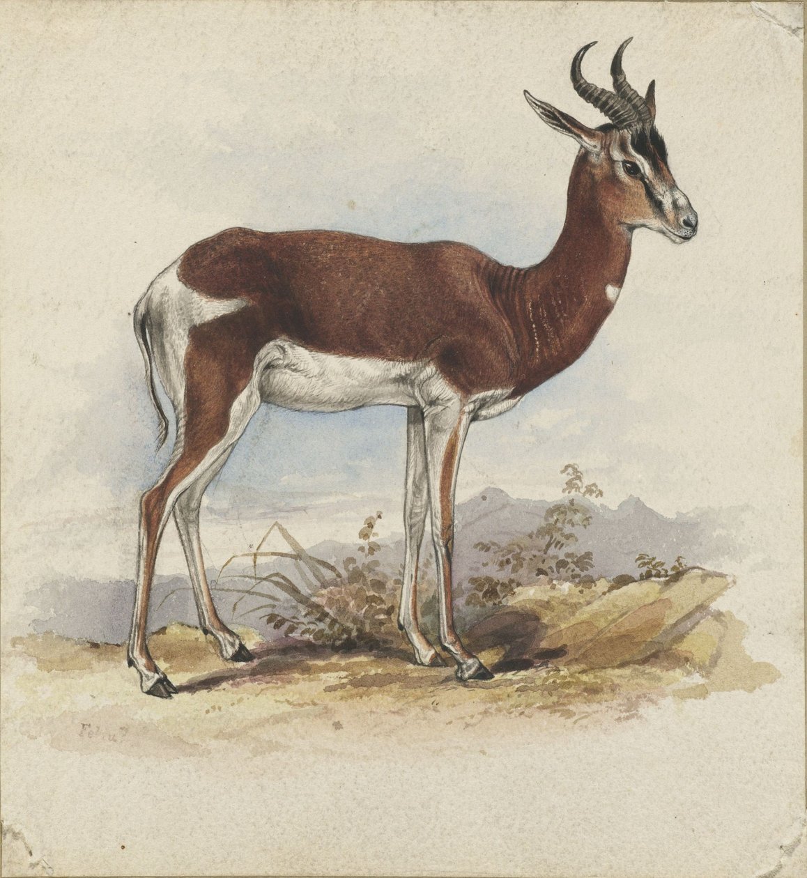 Egy antilop alkotó: Edward Lear