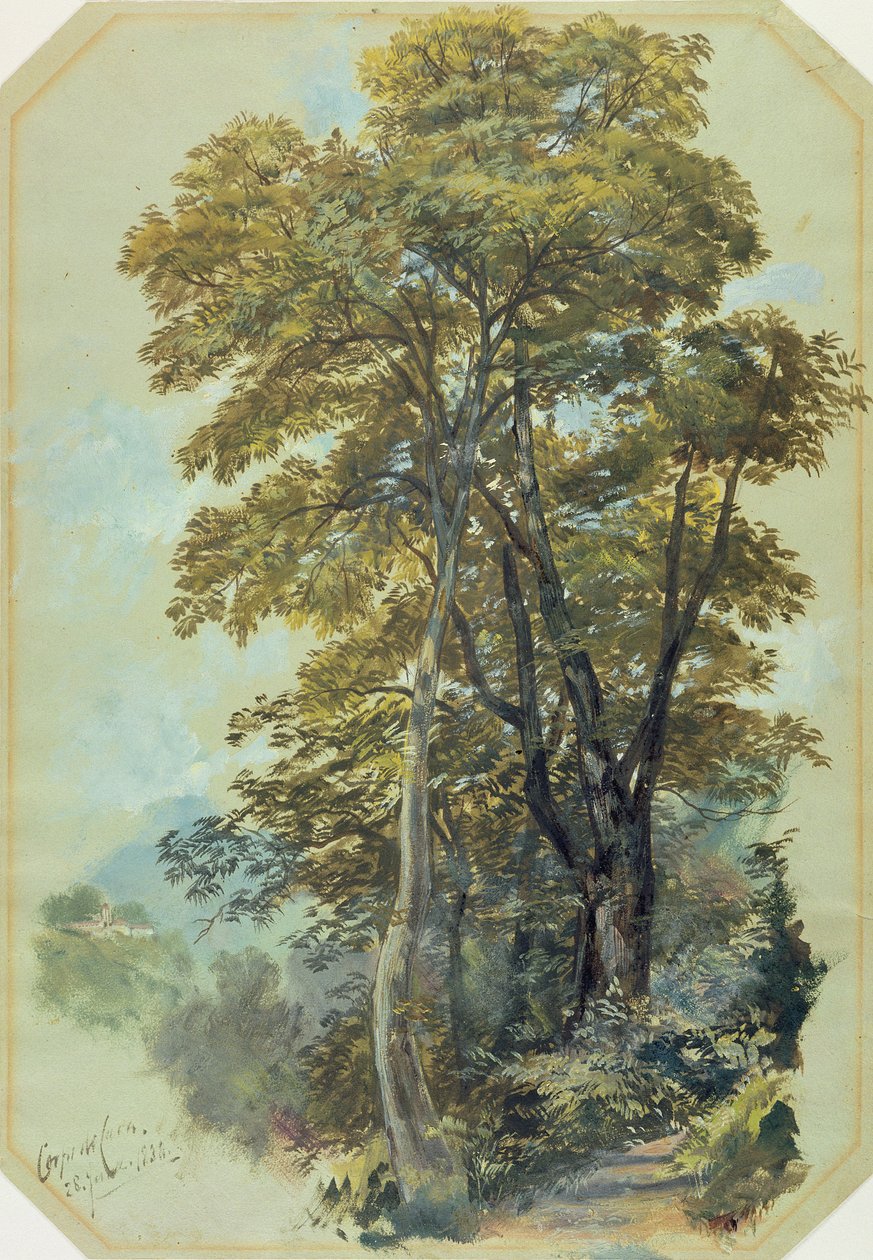 Edward Lear, Corpo di Cava, 1838. június 28. (olaj, szürke vászonpapír) alkotó: Edward Lear