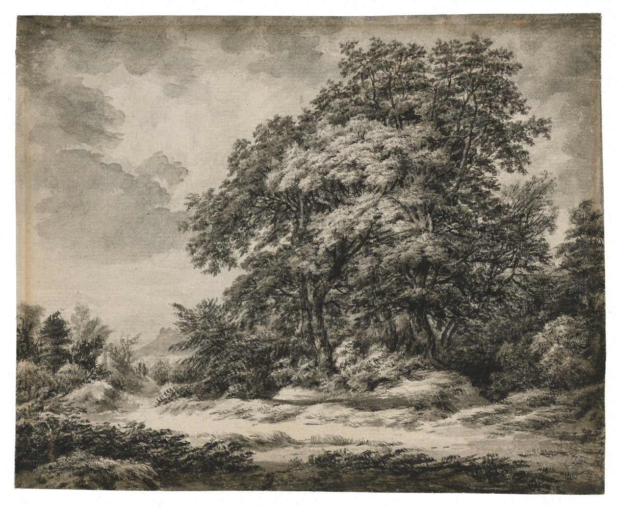 Erdei tájkép (recto), 1838-1848 körül (tus és mosás, fektetett papír) alkotó: Edward Lear