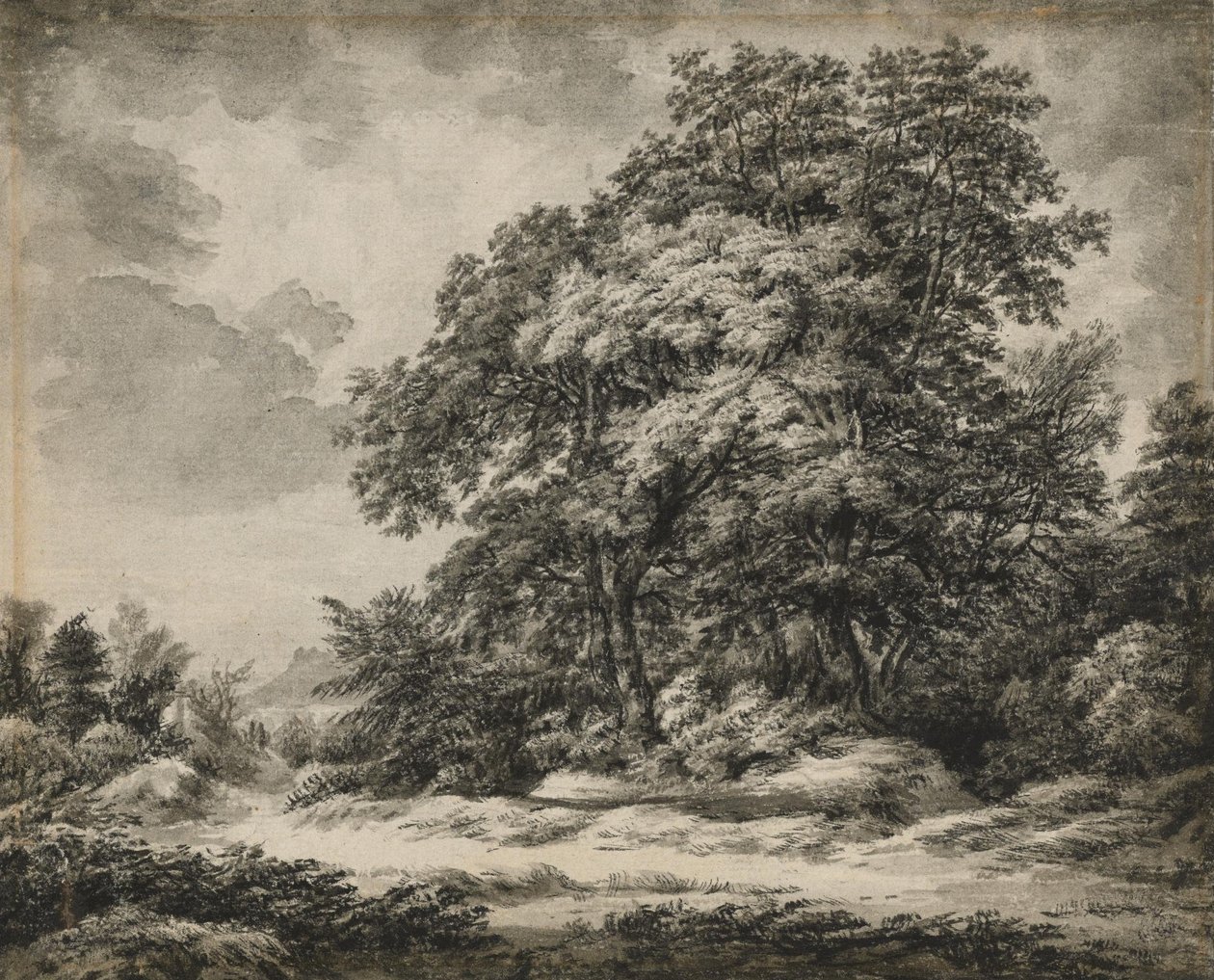 Erdei táj alkotó: Edward Lear
