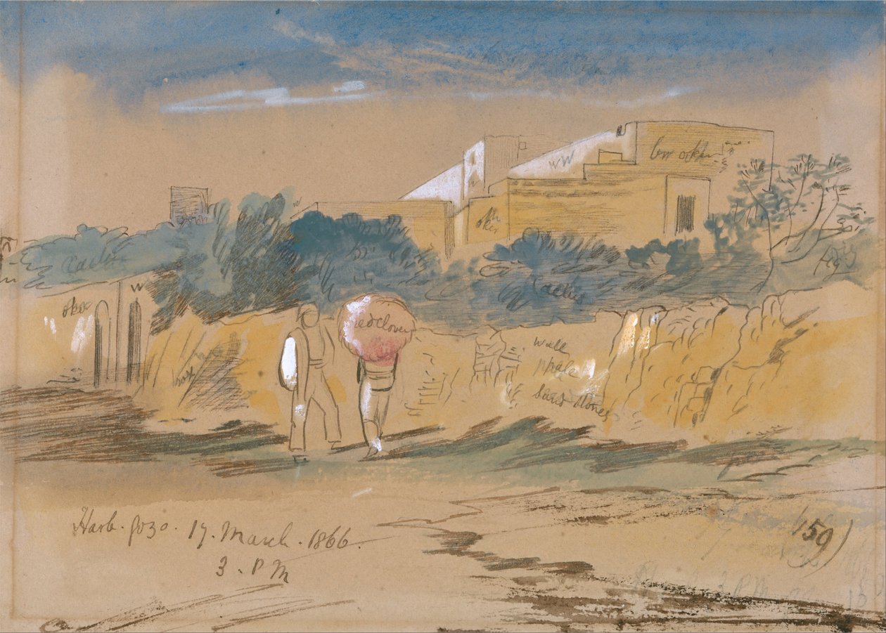 Harb. Gozo alkotó: Edward Lear
