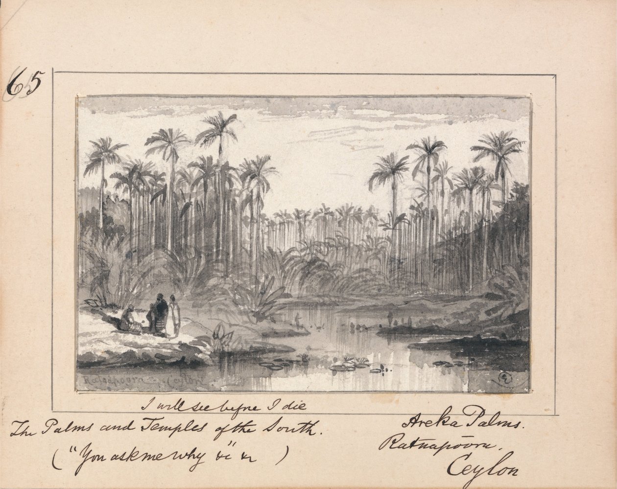 Illusztráció Tennyson You Ask Me Why című könyvéhez- Areca Palms, Ratnapura, Ceylon alkotó: Edward Lear
