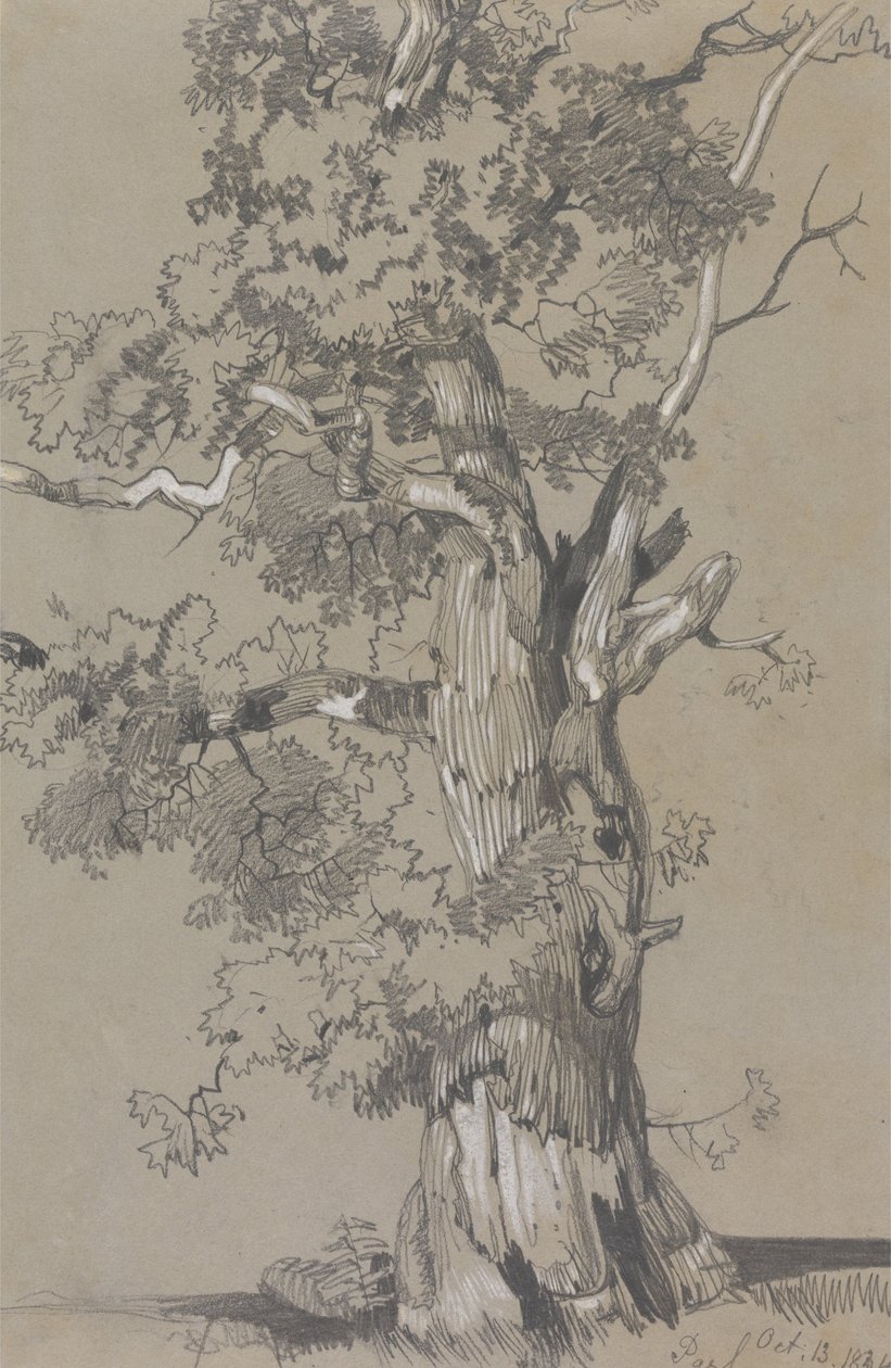 Parham, október 13.1834 alkotó: Edward Lear