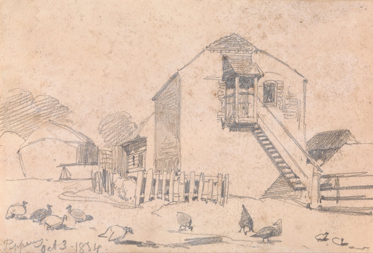 Bors, október 3-1834 alkotó: Edward Lear