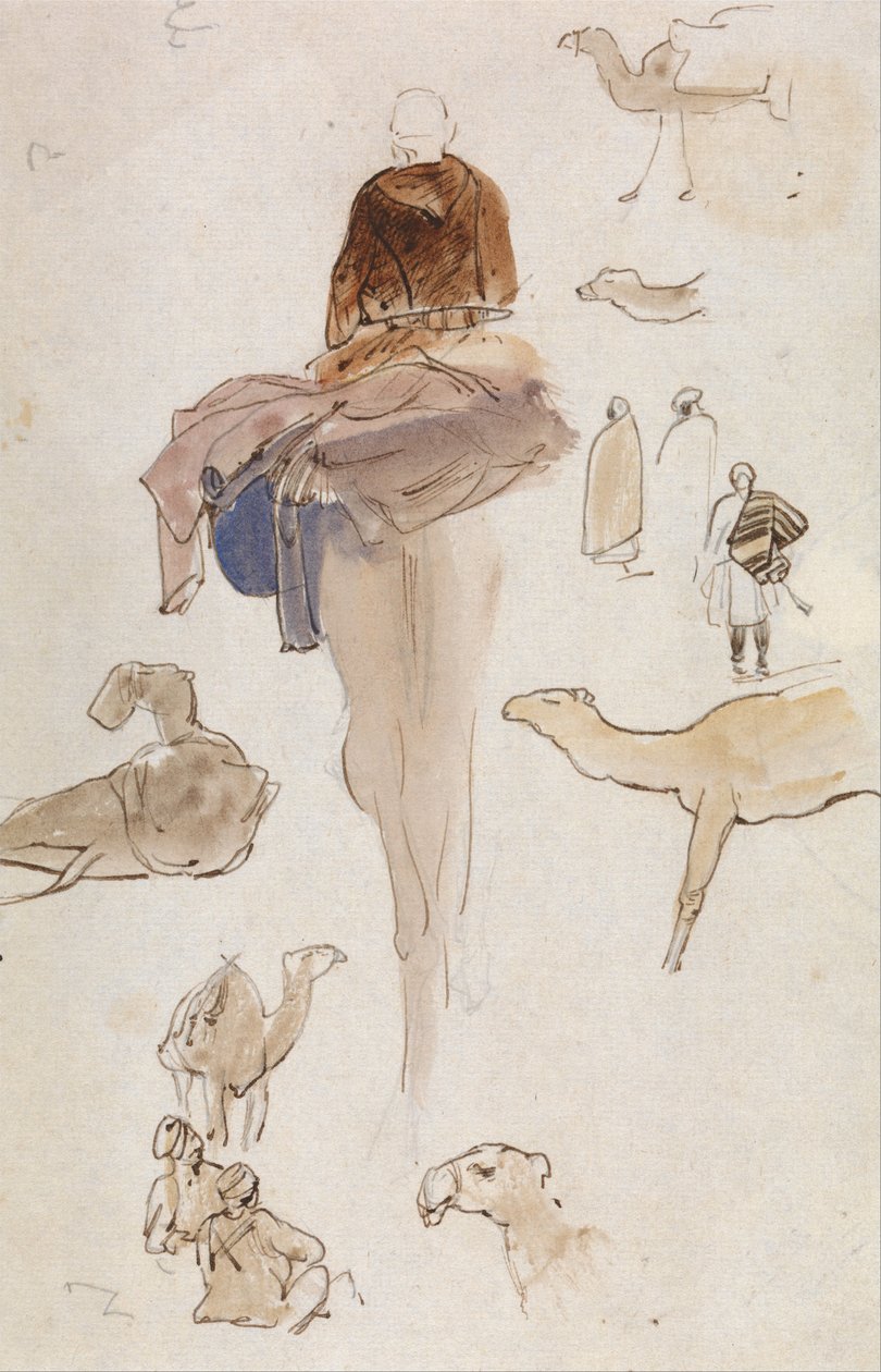 Tevék tanulmányai alkotó: Edward Lear