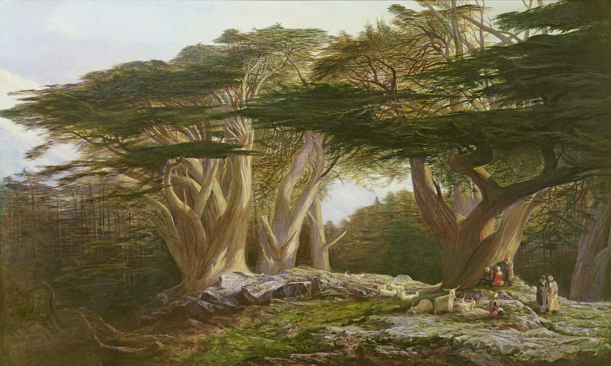 A libanoni cédrusok, 1861 alkotó: Edward Lear