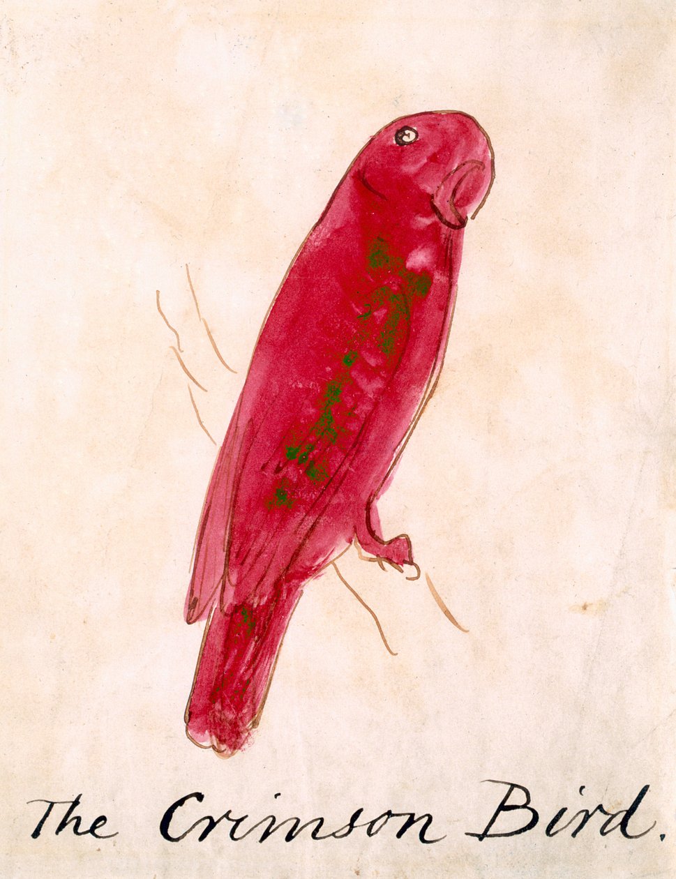 The Crimson Bird, a 