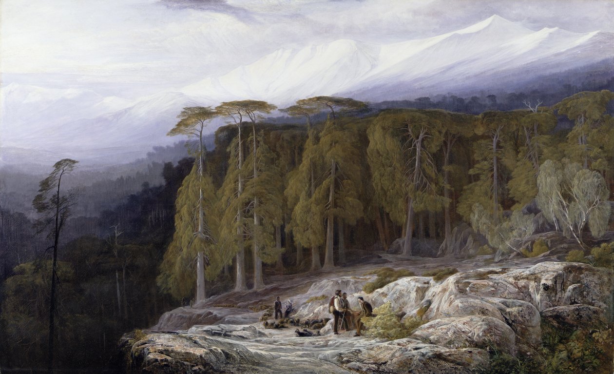 Valdoniello erdő, Korzika, 1869 alkotó: Edward Lear
