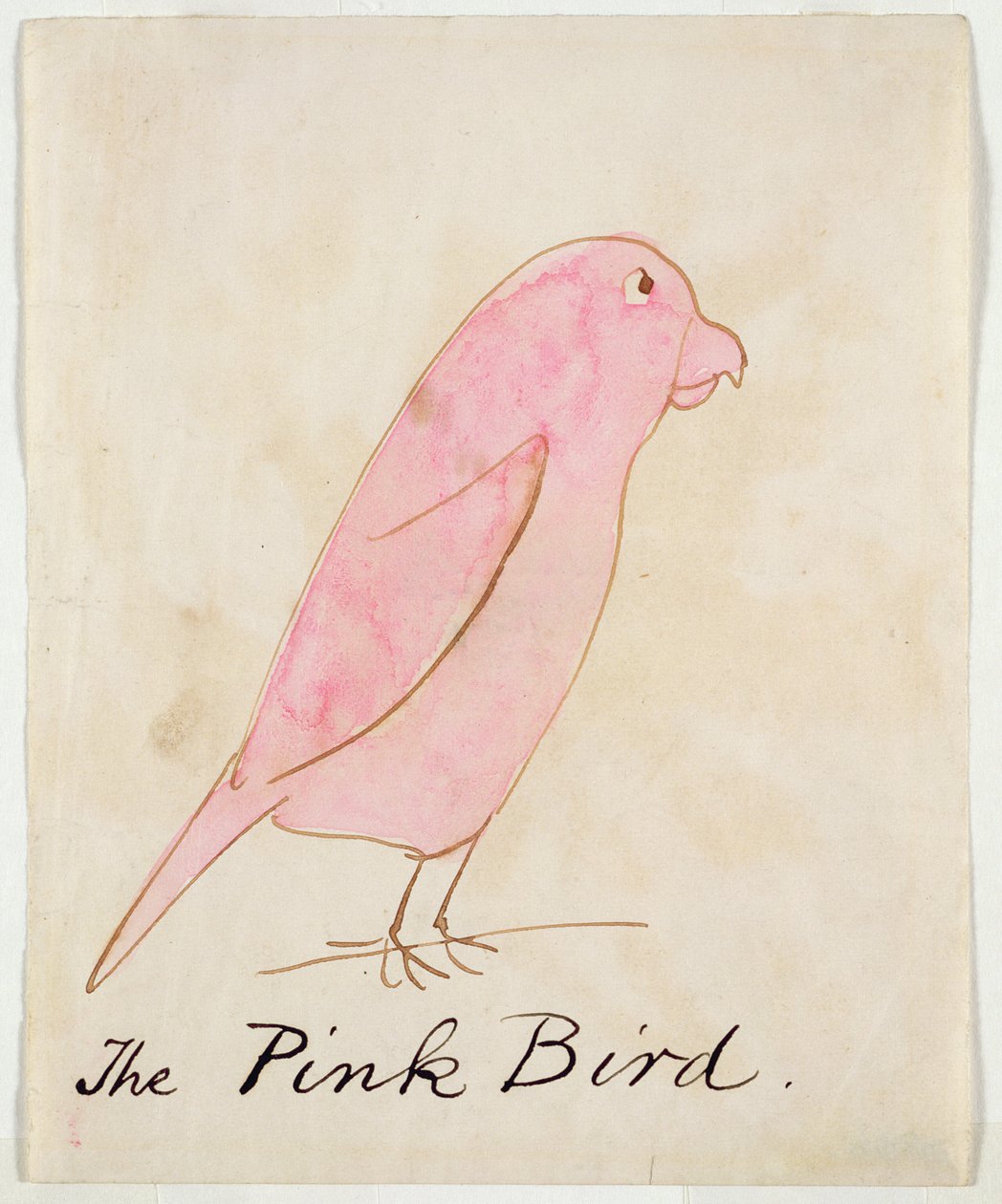 Rózsaszín madár, a „Tizenhat képregény madarak rajzából” (toll, tinta és WC papíron) alkotó: Edward Lear