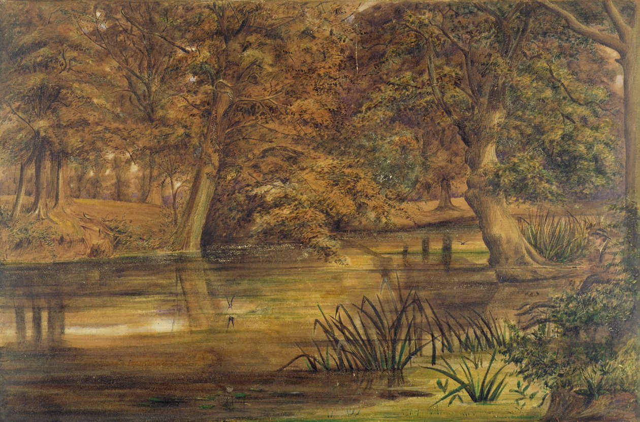 Back Water of the Bratford, 1864 (wc és ceruza papíron) alkotó: Edward W. Fitch