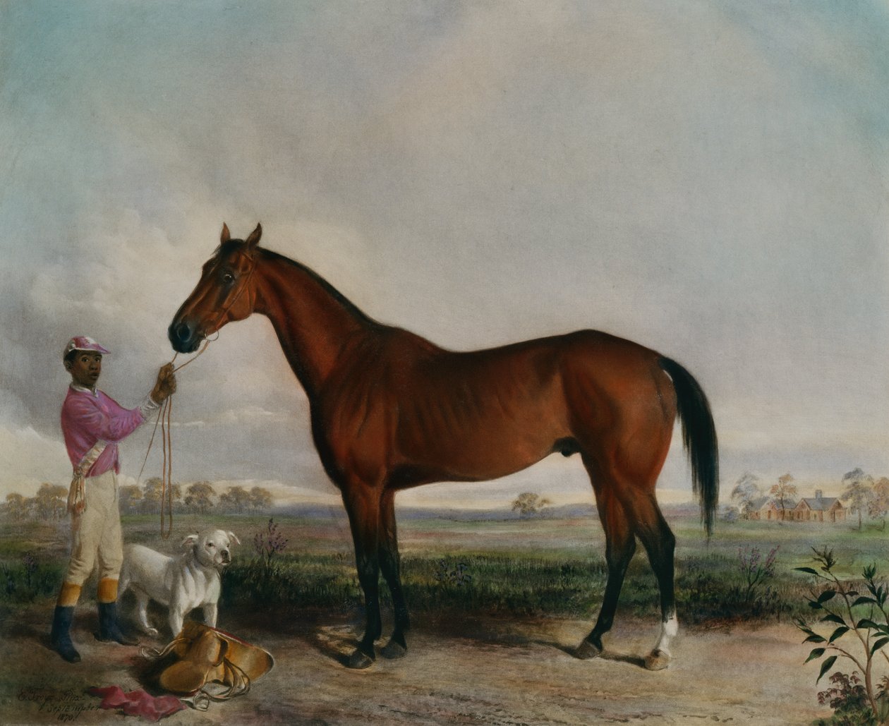 Kérdező, Bay Horse alkotó: Edward (after) Troye