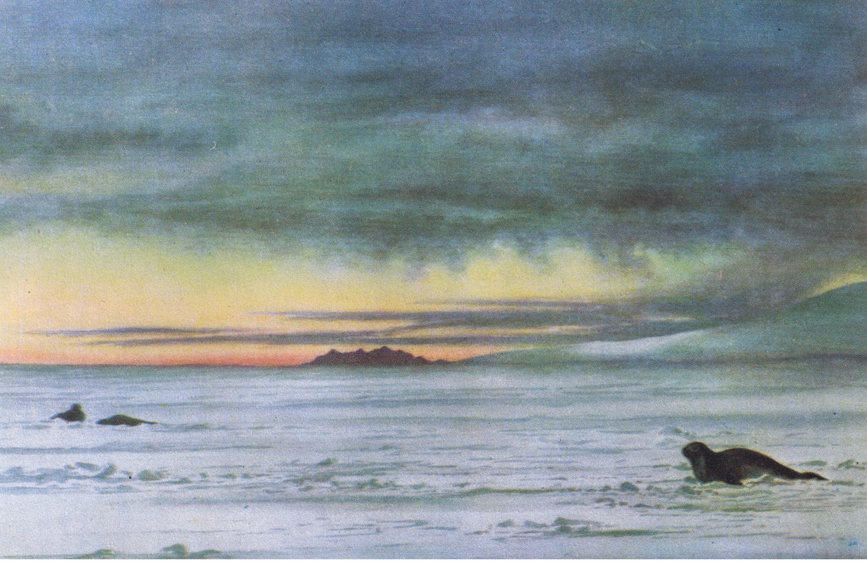 Észak felé nézve a McMurdo Soundban, a British Adventure-ből, amelyet a Collins adott ki, 1947 alkotó: Edward Adrian Wilson