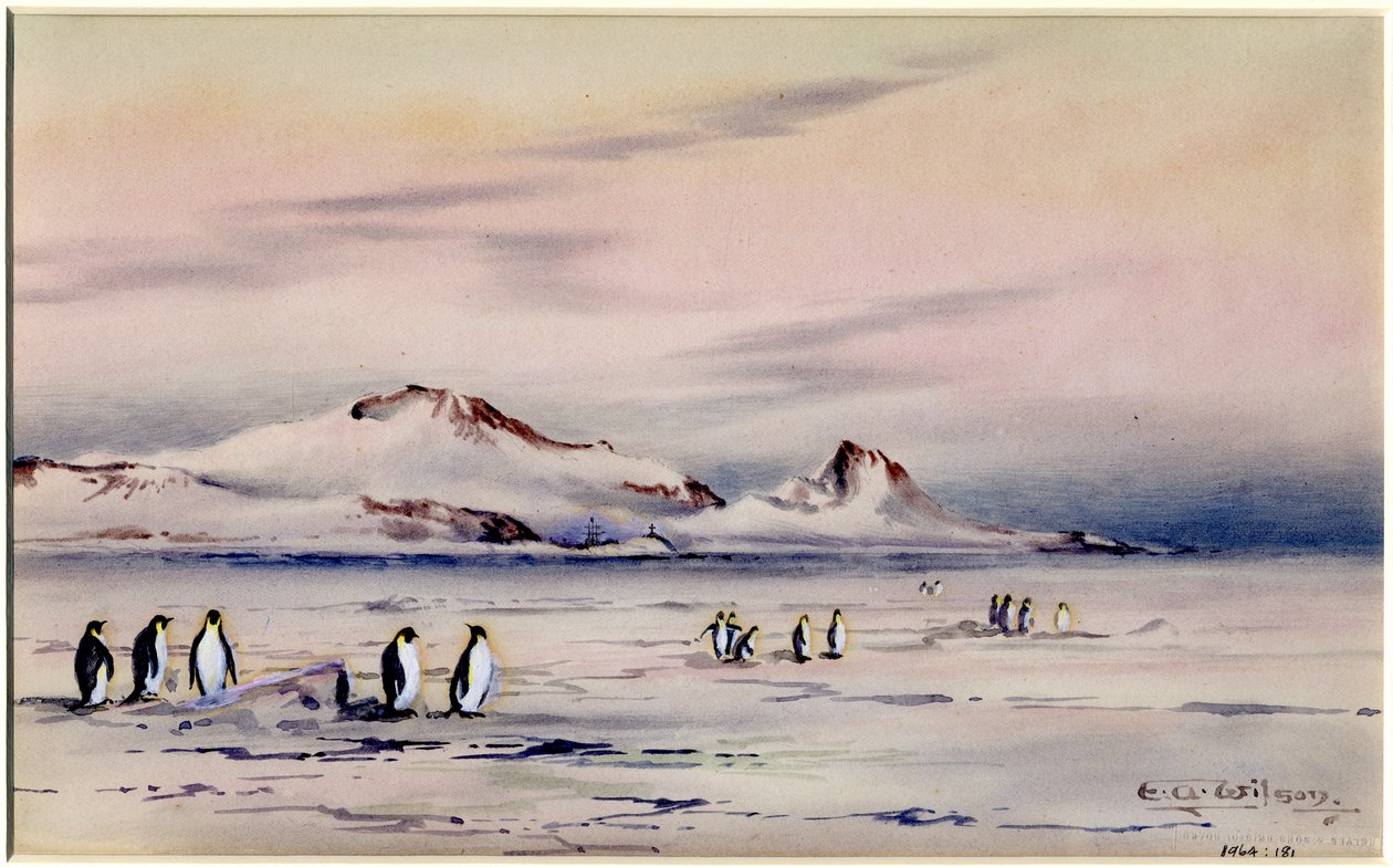 The Discovery Winter Quarters, 1901-2004 körül (wc papíron) alkotó: Edward Adrian Wilson