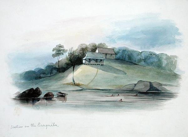 Állomás az Essiquibóban, Brit Guyana, 1840 körül (akvarell papíron) alkotó: Edward Angelo Goodall