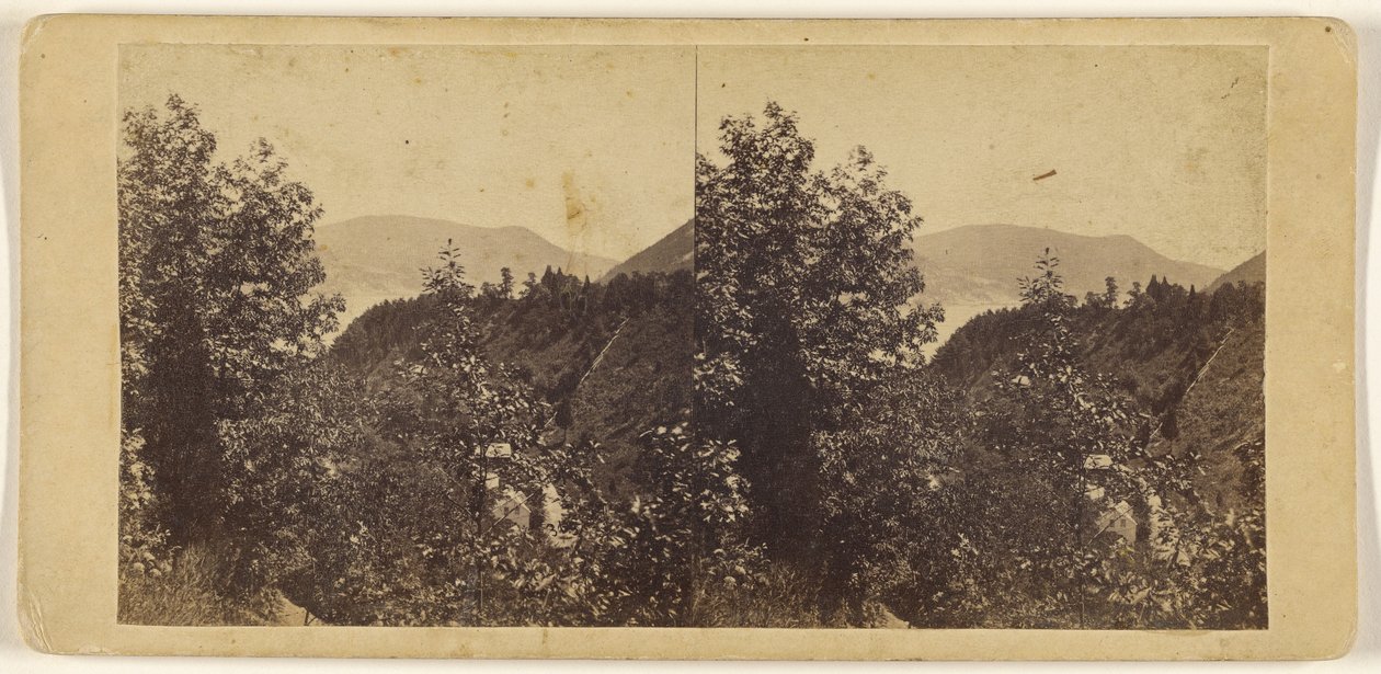 The Glen at Cornwall. alkotó: Edward Anthony