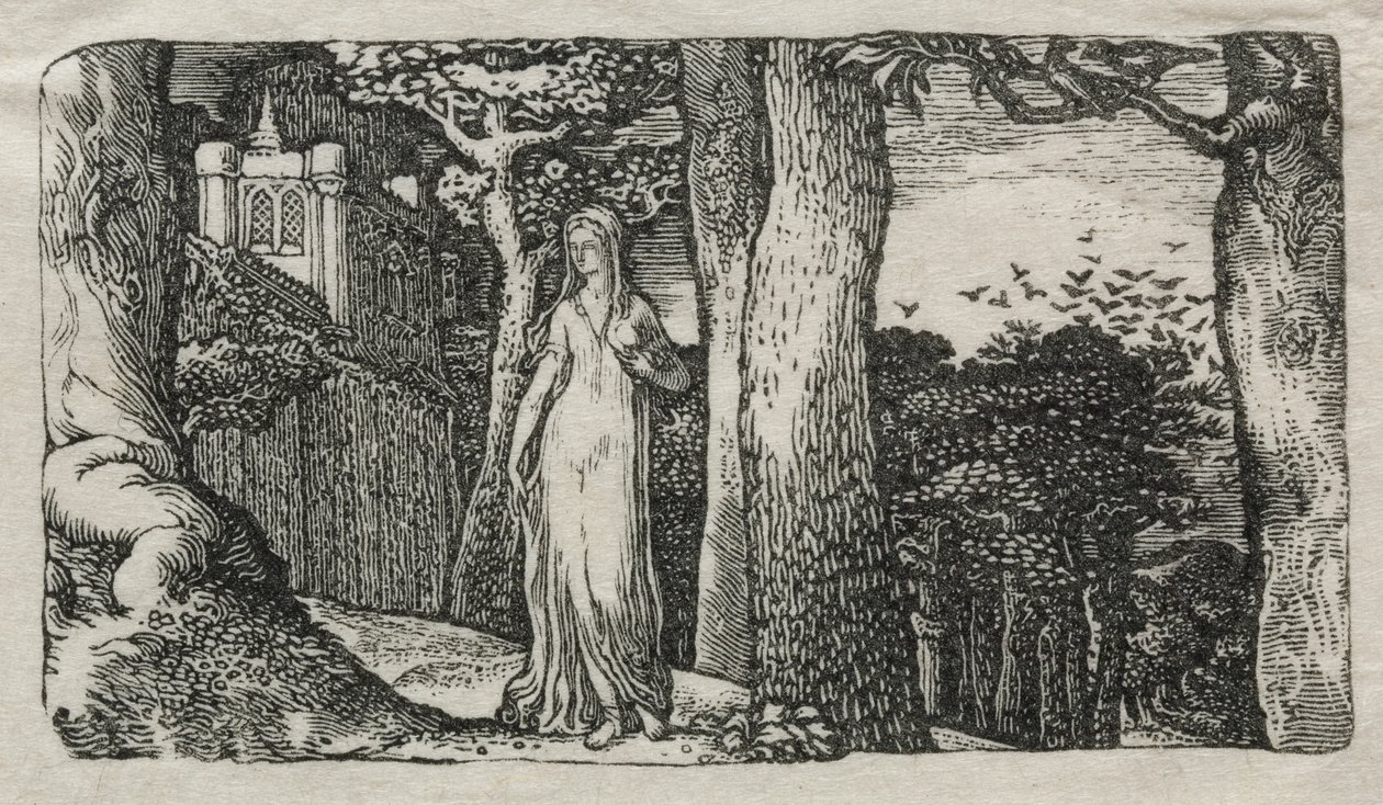The Lady and the Rooks alkotó: Edward Calvert