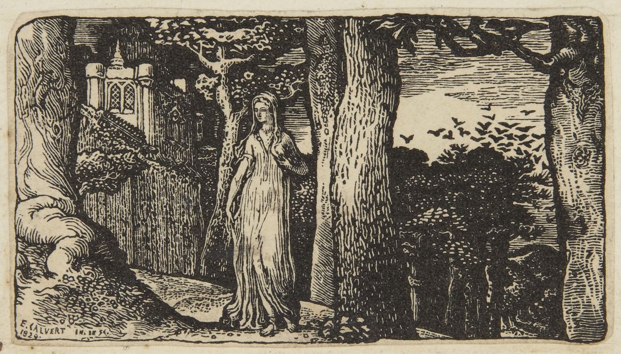 A hölgy a vetési varjakkal alkotó: Edward Calvert