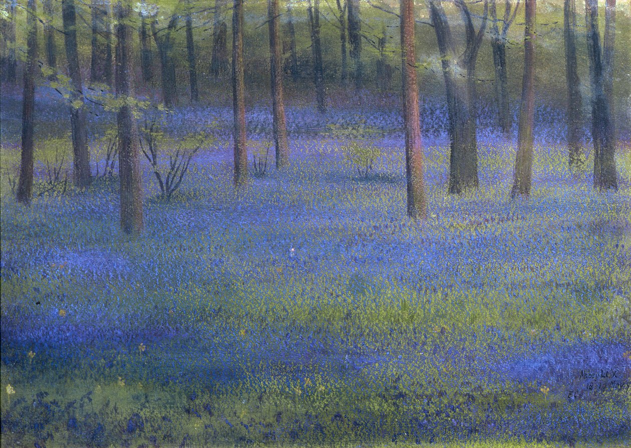 Bluebell Wood (pasztell, papír) alkotó: Edward Clifford