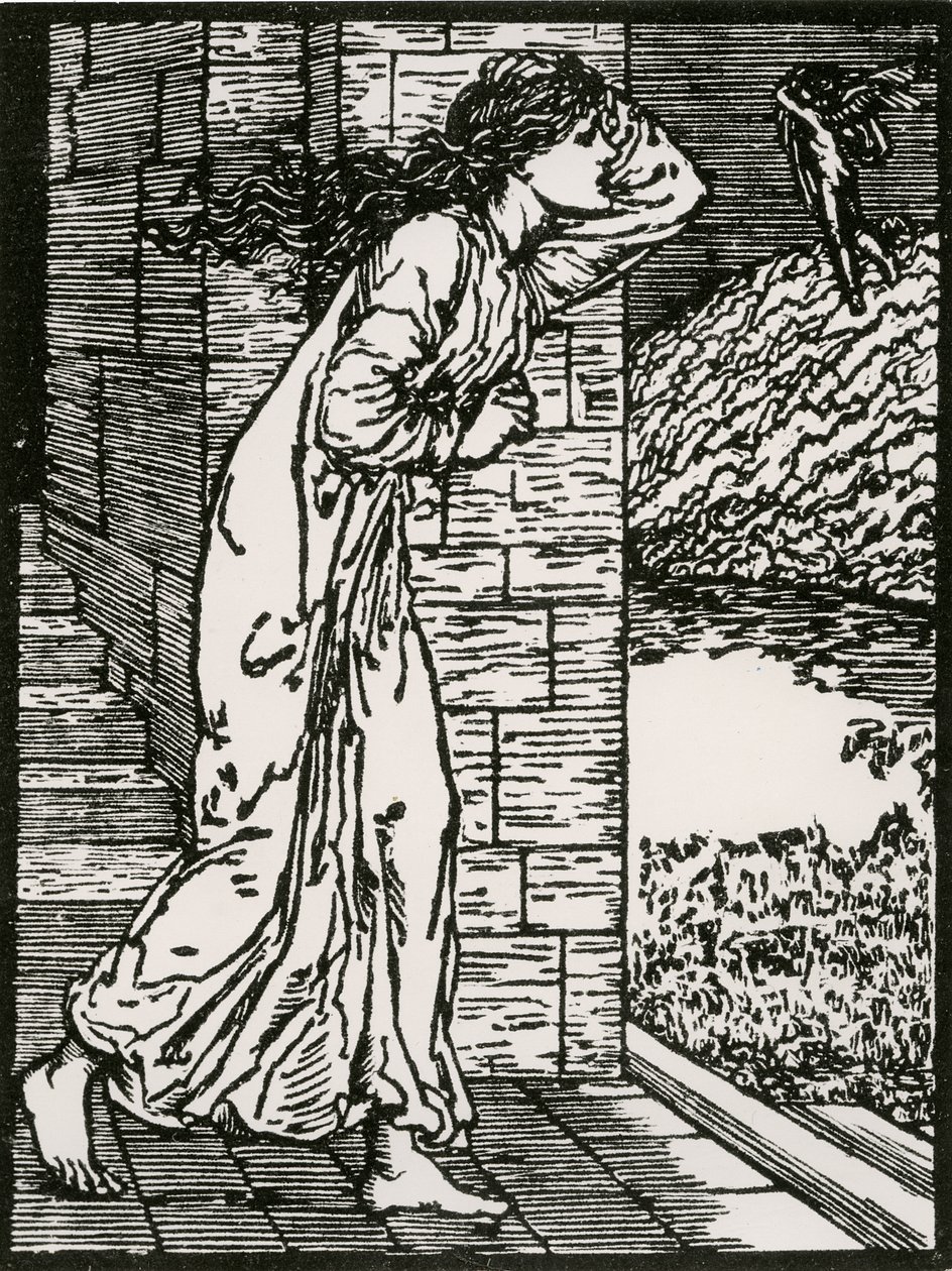 Psyche kirohan a Palotából alkotó: Edward Coley (after) Burne Jones