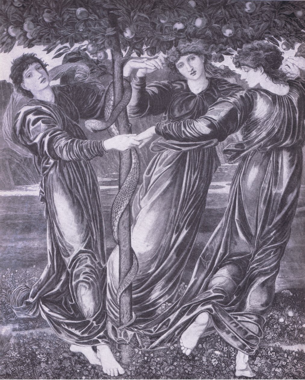 Hesperides kertje, Bibby éves alkotó: Edward Coley (after) Burne Jones