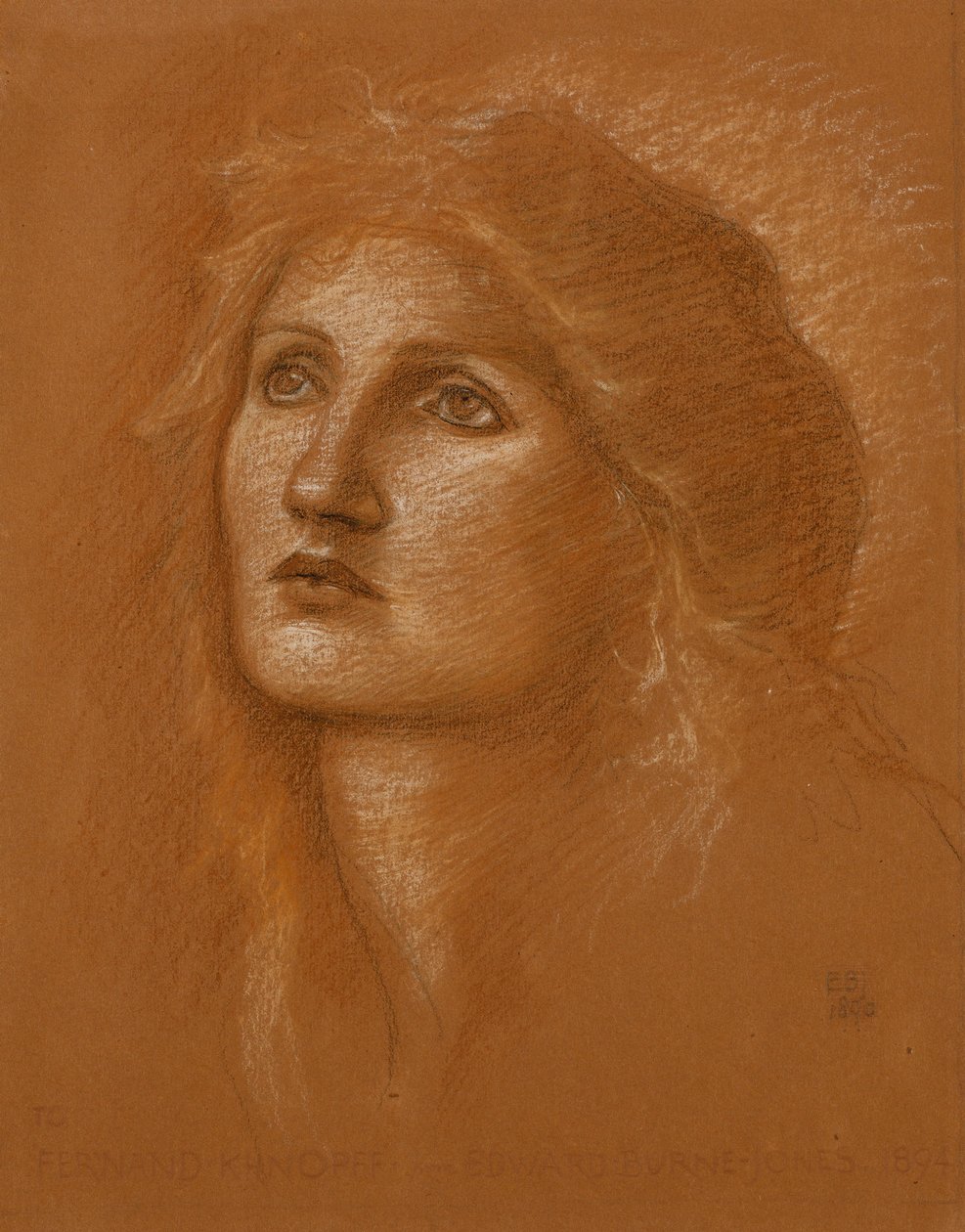 Egy nő feje, 1890 alkotó: Edward Burne Jones