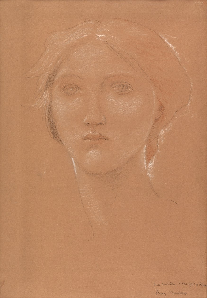 Tanulmány Margaret Burne-Jones fejéről a „Cophetua király és a kolduslány” számára (kréta papíron) alkotó: Edward Coley Burne Jones