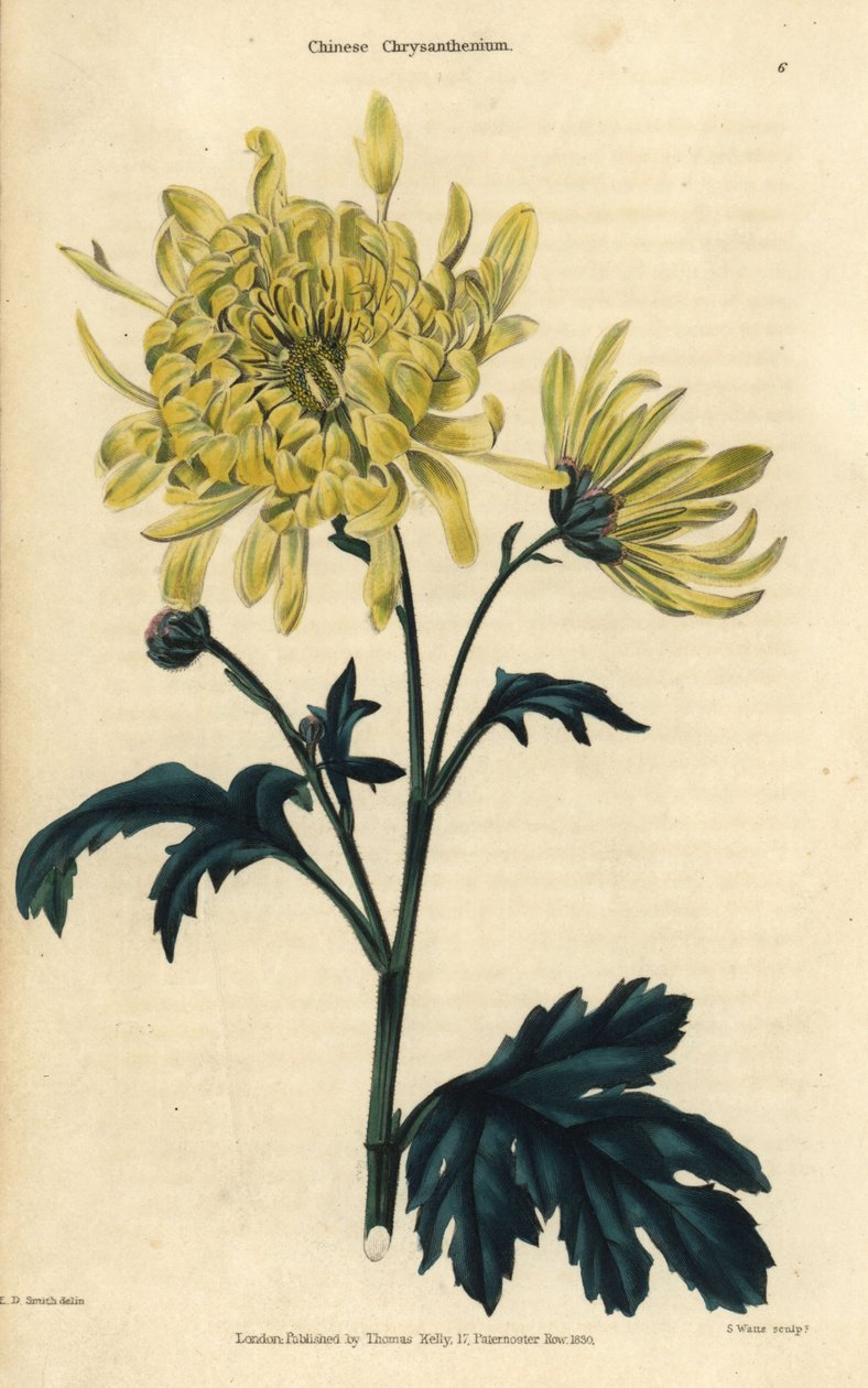  alkotó: Edward Dalton Smith
