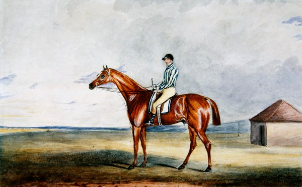 Lord Jersey „Riddlesworth” című műve, H. Edwards Up, 1931 körül (akvarell papíron) alkotó: Edward Duncan