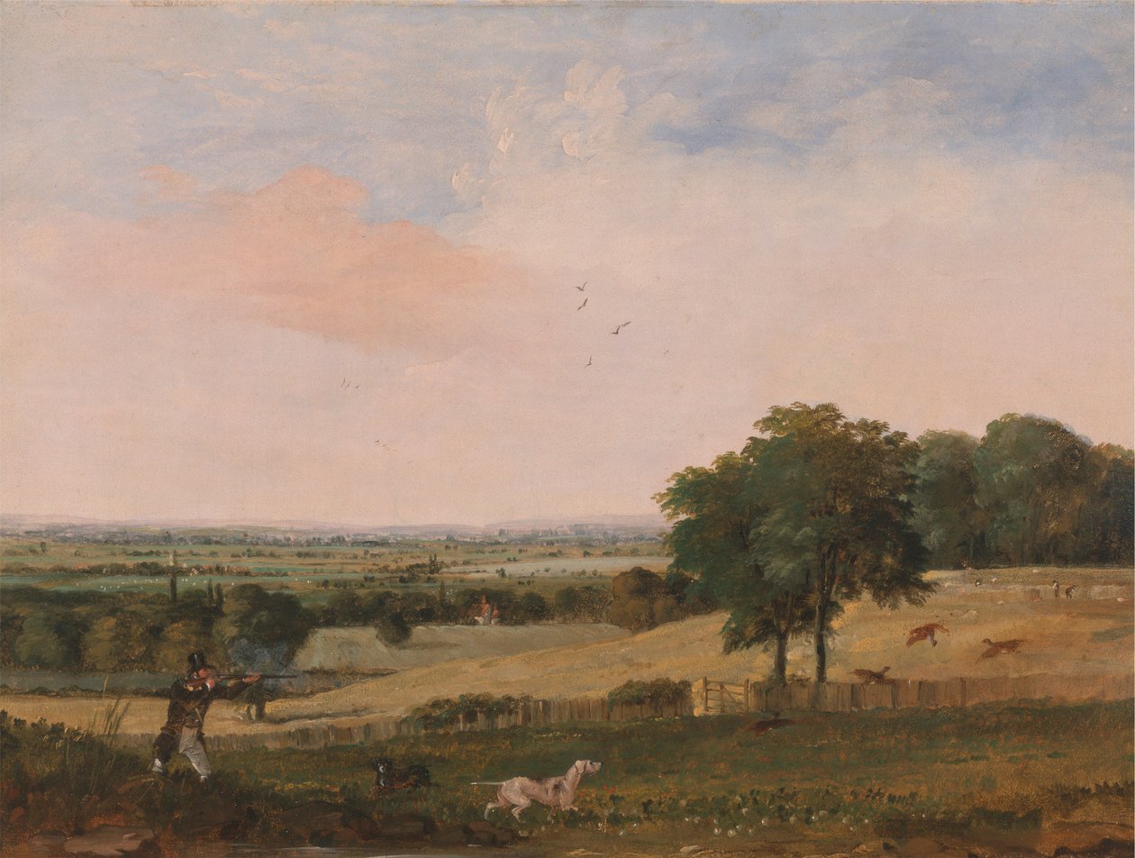 Partridge Shooting alkotó: Edward Duncan