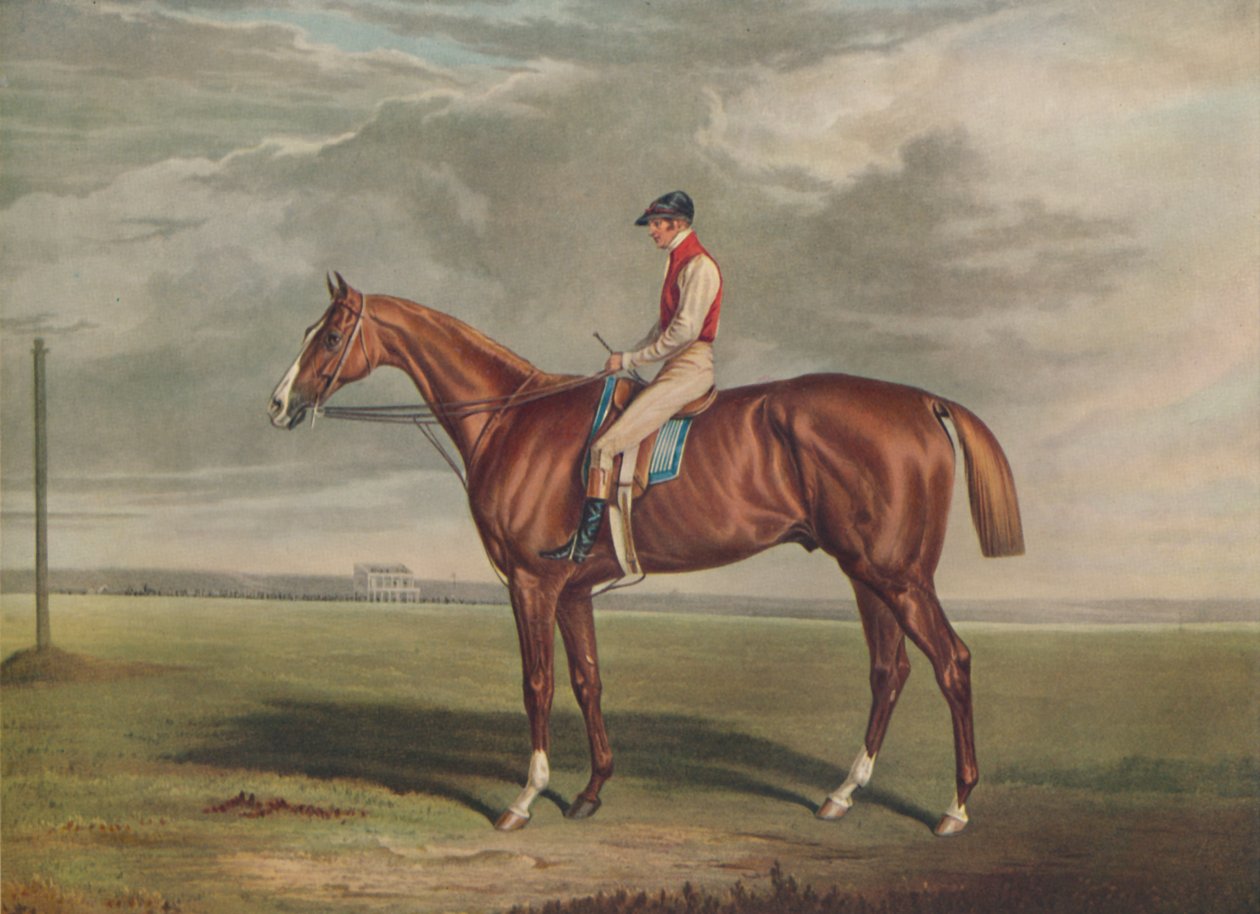"Velocipede, a St. Leger győztese, 1828", c1828, 1929 alkotó: Edward Duncan