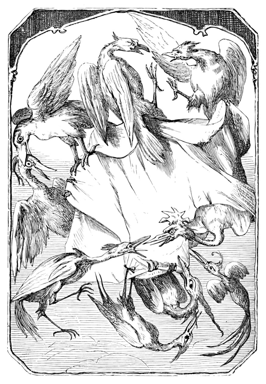 A szamárkáposzta, 1901 alkotó: Edward Henry Wehnert