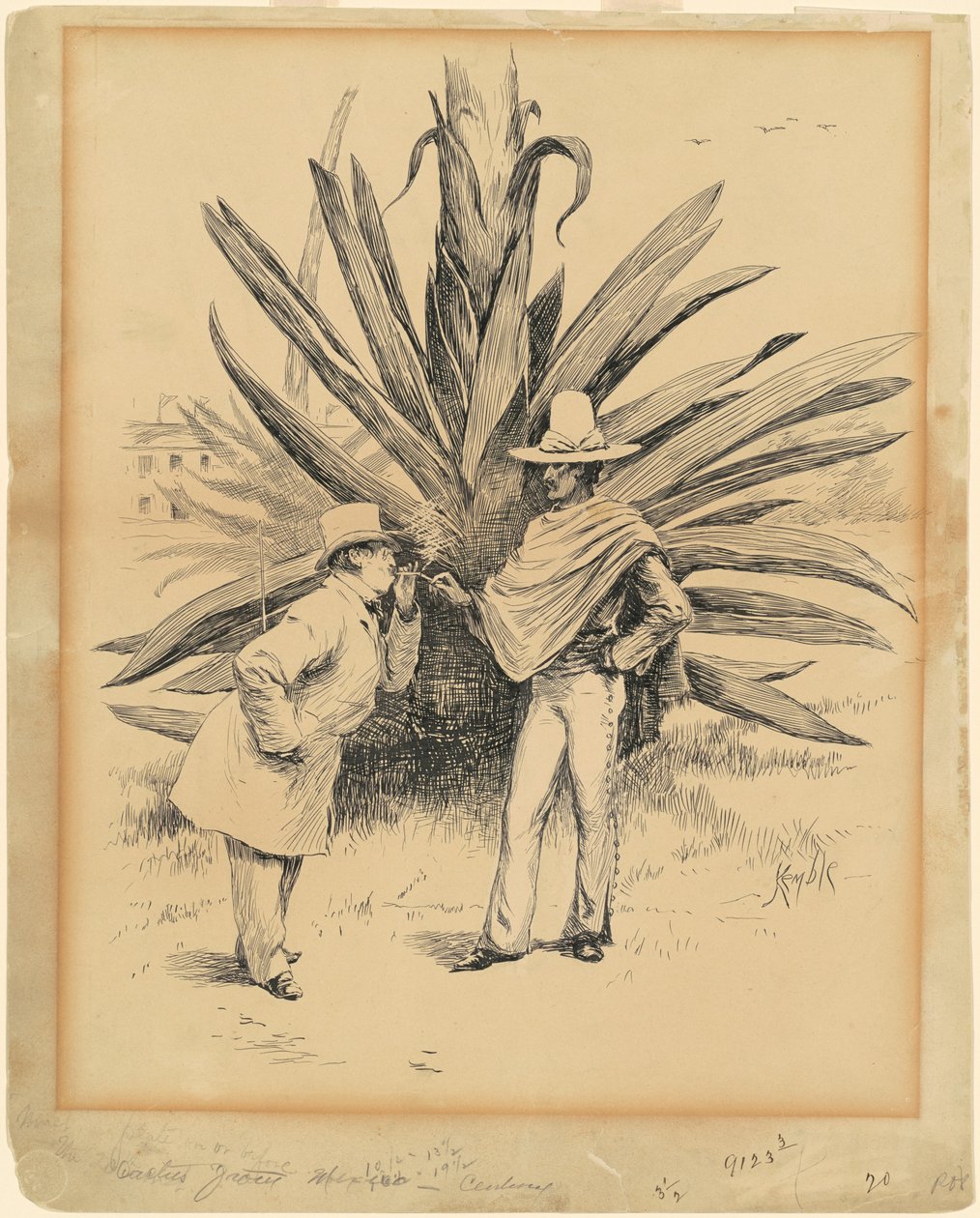 Kaktusz Mexikóból alkotó: Edward Kemble