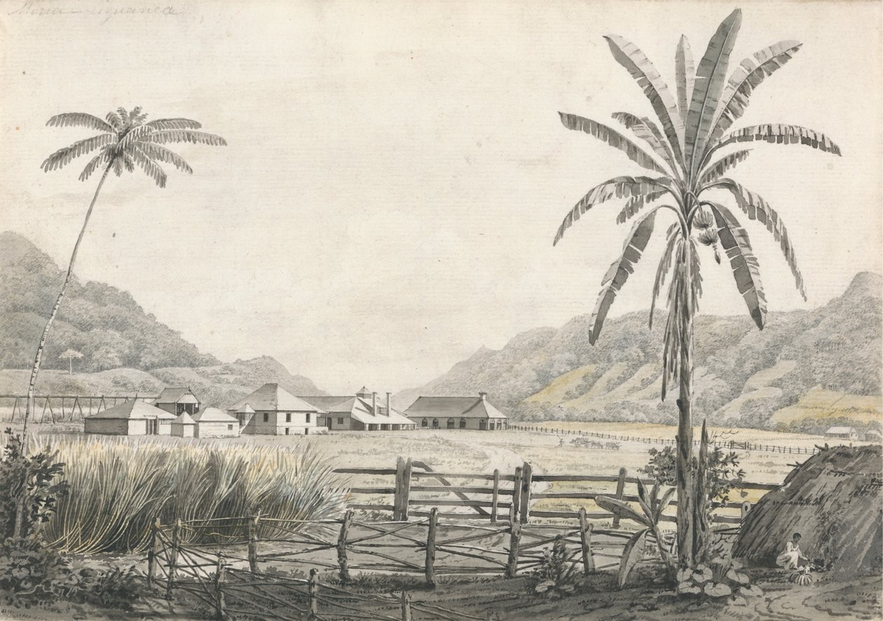 Kilátás a Hall-head cukorültetvényre, Jamaica alkotó: Edward Kennion