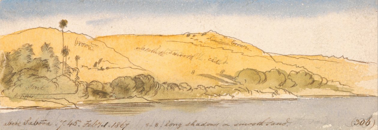Sabooa felett alkotó: Edward Lear