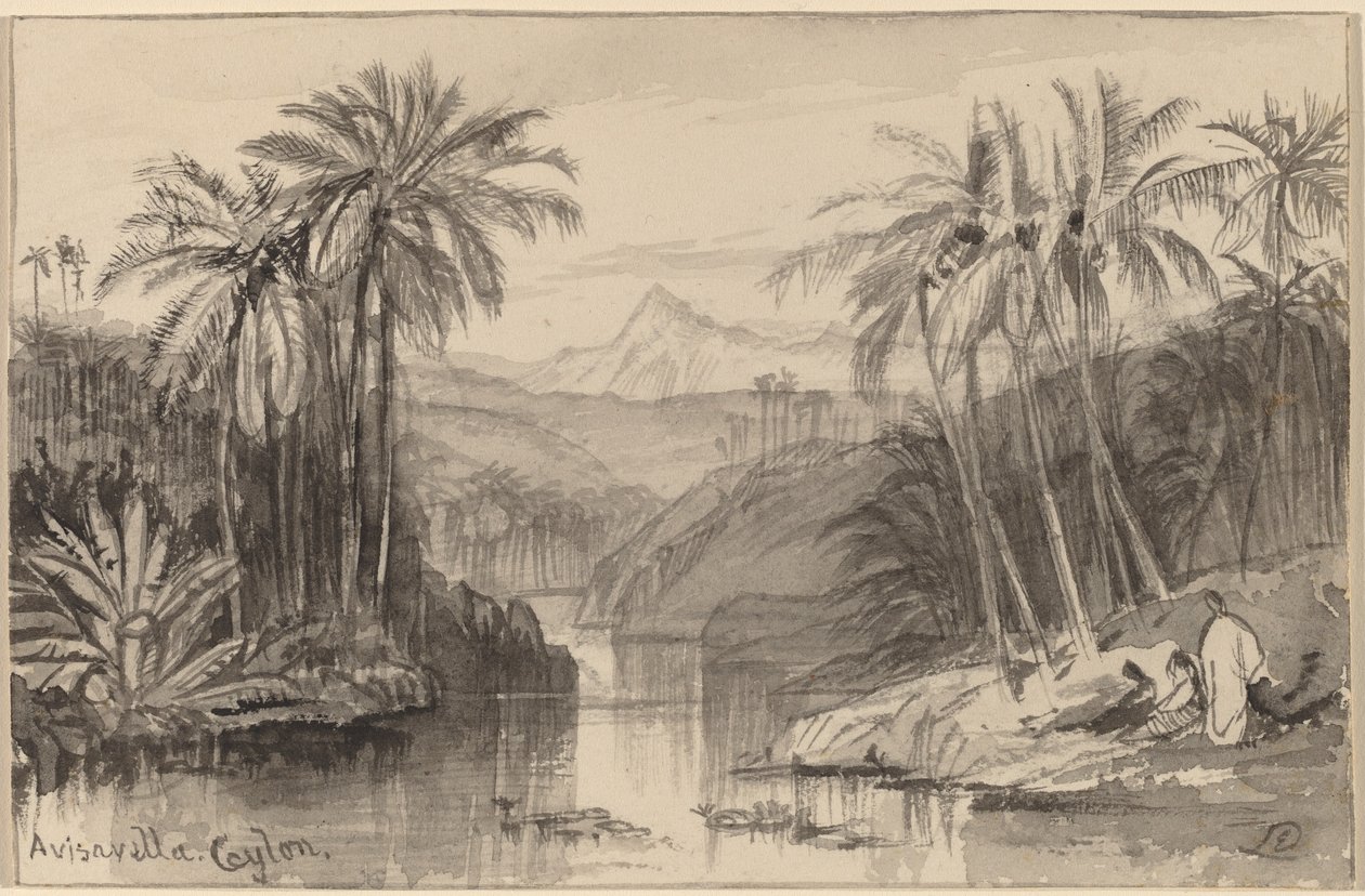 Avisavella, Ceylon, 18841885. alkotó: Edward Lear