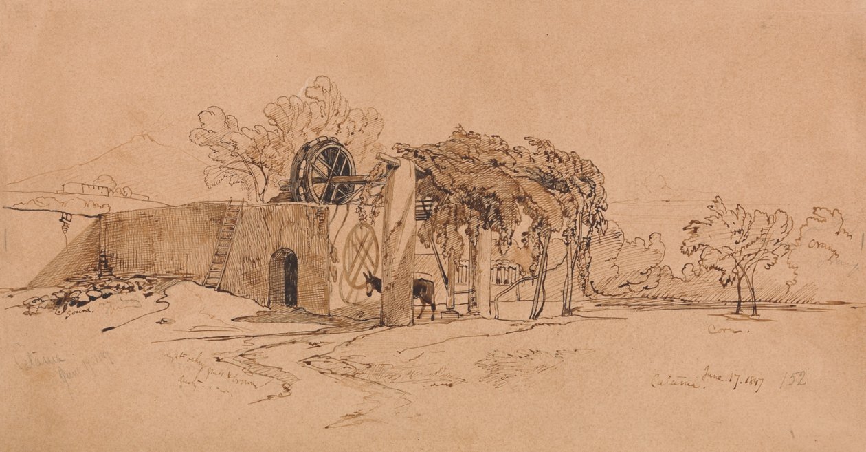 Catania alkotó: Edward Lear