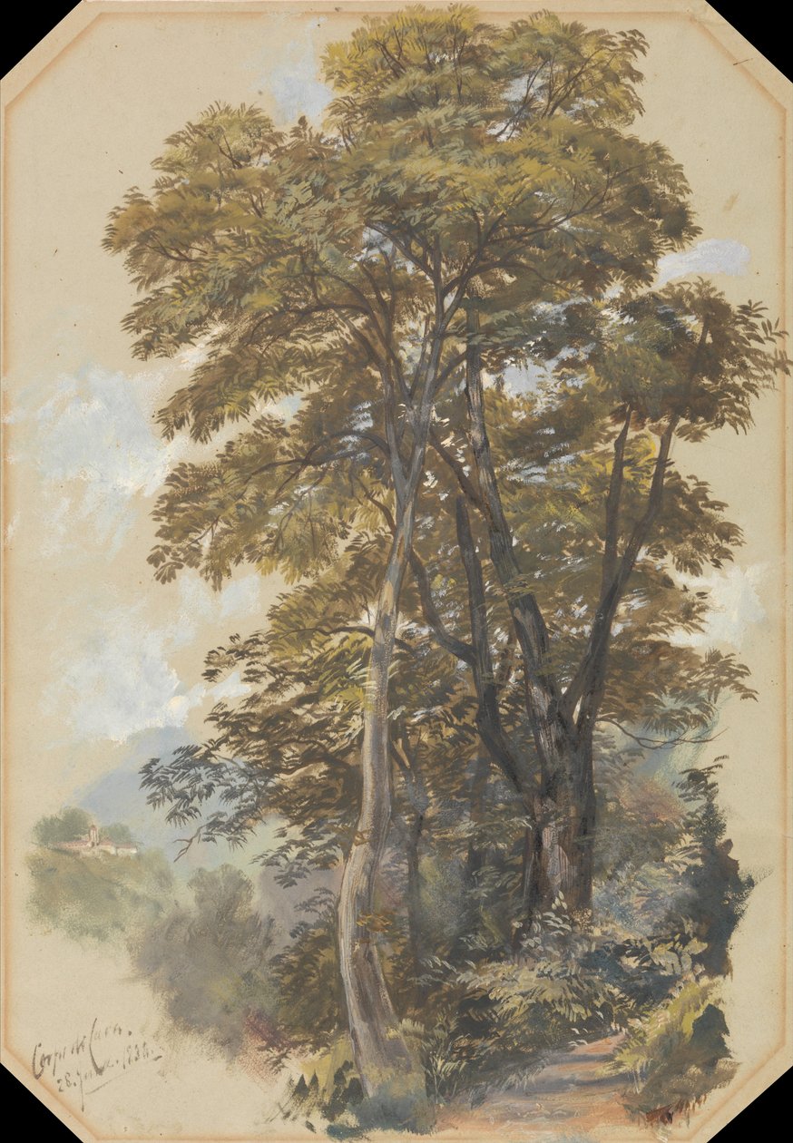 Kőfejtő Hadtest, 1838. június 28. alkotó: Edward Lear