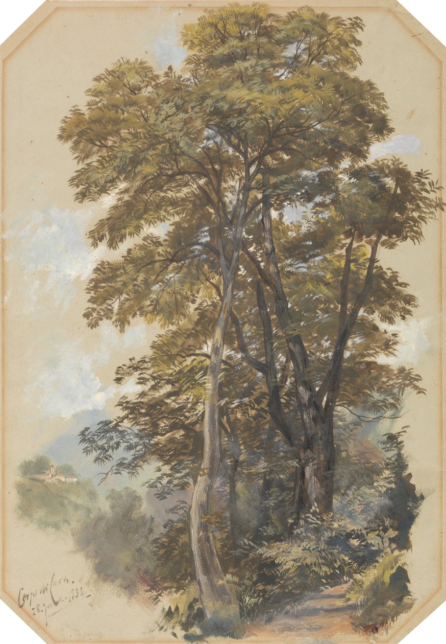 Corpo di Cava, 1838. június 28. alkotó: Edward Lear