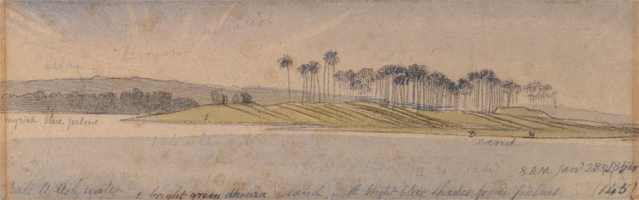 Dhoura sziget alkotó: Edward Lear