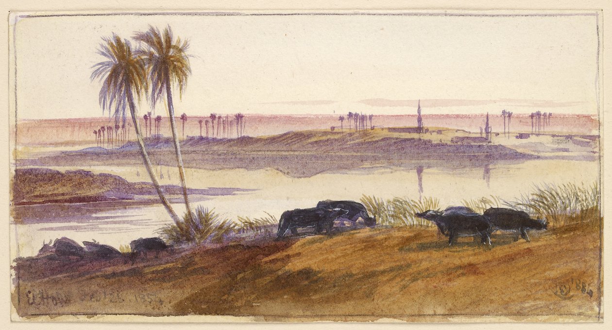 El Hon, Egyiptom, 1884 (akvarell, toll és tinta testszínnel) alkotó: Edward Lear