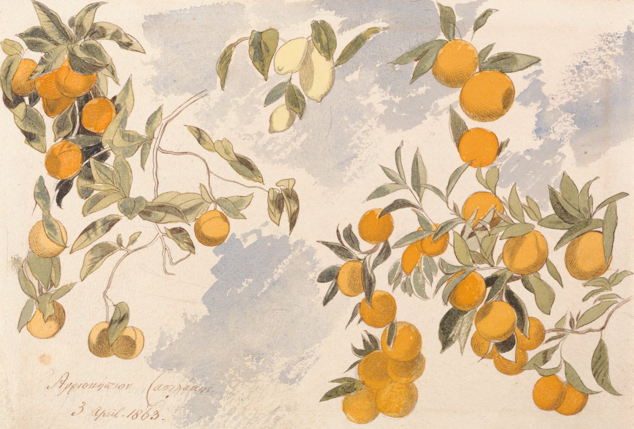 Gyümölcsfák, 1863. április 3. alkotó: Edward Lear