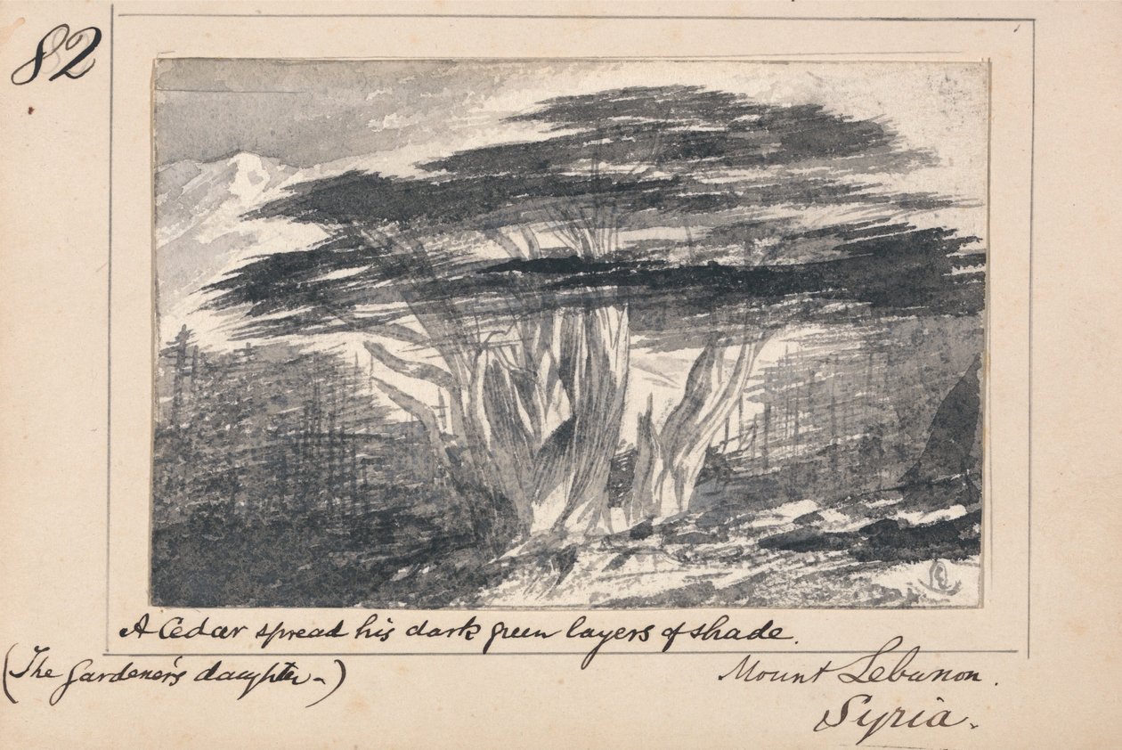 Illusztráció Tennyson „A kertész lánya” című verséhez: Libanon-hegy, Szíria – „Egy cédrus sötétzöld árnyékot vetett” alkotó: Edward Lear