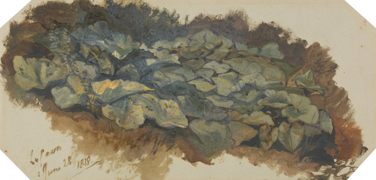 La Cava alkotó: Edward Lear